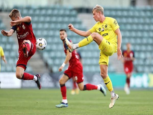 nhận định bóng đá Wellington Phoenix vs Adelaide, 12h50 ngày 12/2