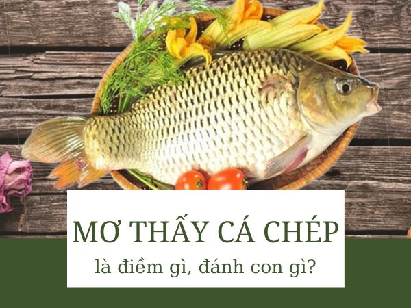Giải mã giấc mơ thấy cá chép dự báo điềm gì sắp tới?