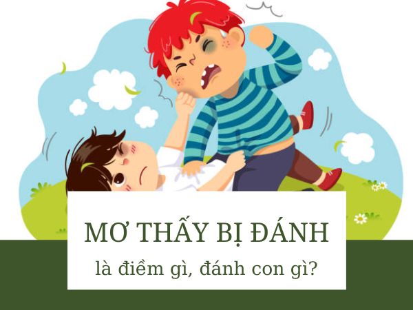 Nằm mơ thấy bị đánh đánh con gì, chọn số mấy chuẩn xác?