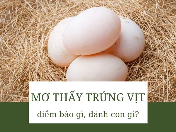 Nằm mơ thấy trứng vịt đánh con gì, chọn số nào chuẩn xác?