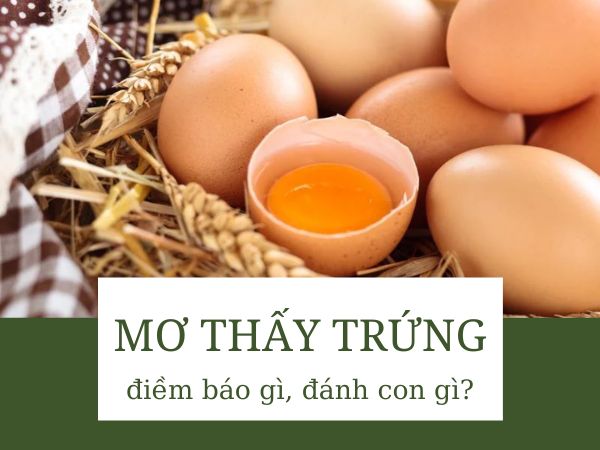 Giải mã giấc mơ thấy trứng báo điềm tốt hay xấu sắp tới?