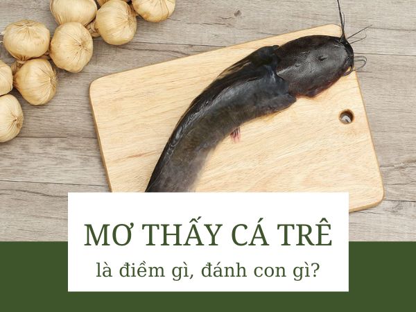 Phân tích giấc mơ thấy cá trê báo hiệu điềm gì?