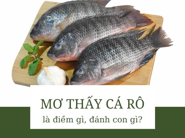 Ngủ mơ thấy cá rô báo điềm gì, tốt hay xấu?