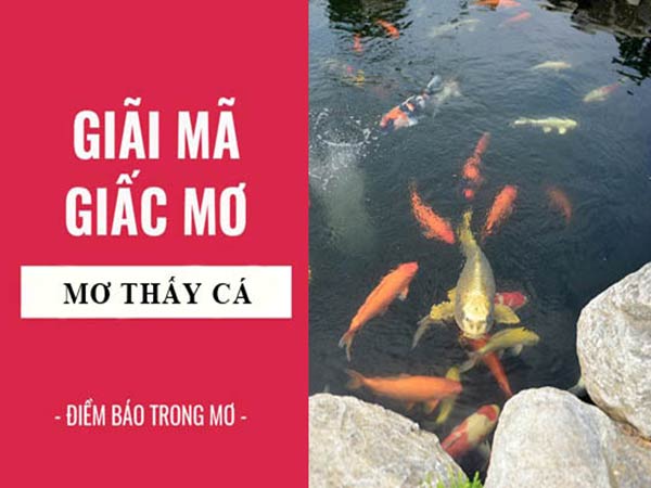 Nằm mơ thấy cá với nước Nằm mơ thấy cá với nước