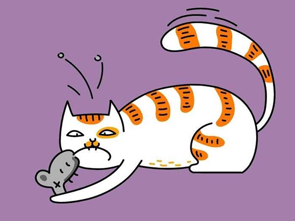 Nằm mơ thấy mèo bắt chuột theo luận giải tâm linh
