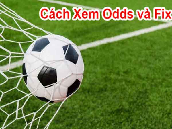 Cách xem Odds và Fix của cổng game chính xác nhất hiện nay