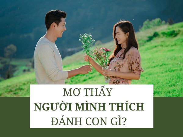 Nằm mơ thấy người mình thích đánh con gì có ý nghĩa gì đặc biệt
