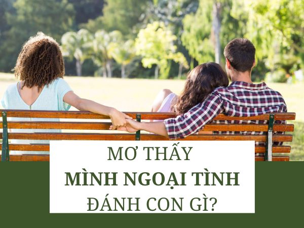 "Dự