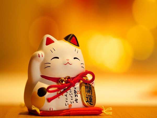 Tuổi Đinh Mão 1987 hợp hướng nào? Tuổi Đinh Mão 1987 hợp hướng nào?