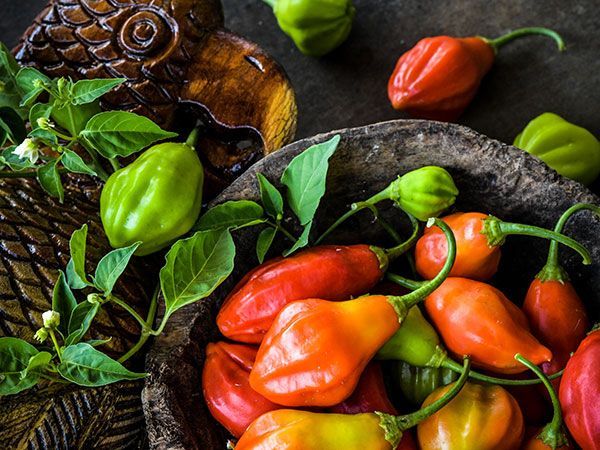 Tìm hiểu ý nghĩa giấc mơ thấy quả ớt dự báo may mắn hay xui xẻo sắp tới?