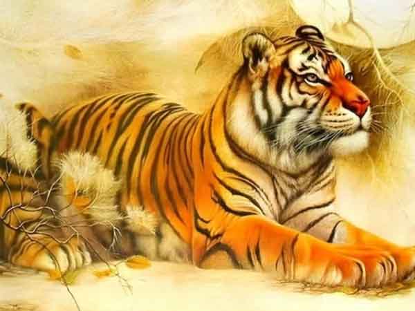Chi tiết tử vi tuổi Bính Dần ngày 26/2/2025 thứ 4 hôm nay