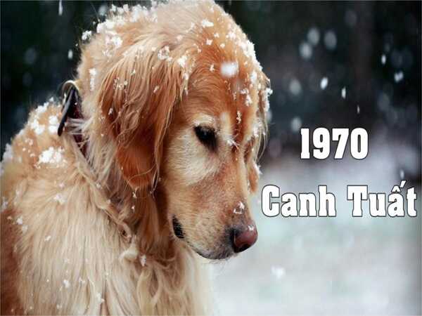 Sinh năm 1970 hợp số gì, mệnh kim hợp số nào?