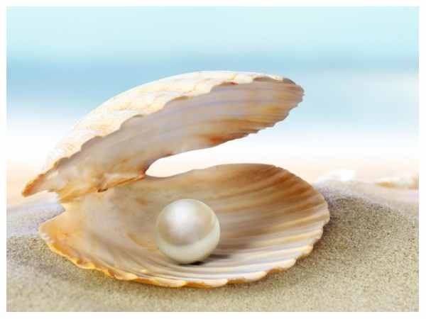 Mơ thấy đi tìm ngọc trai dưới biển