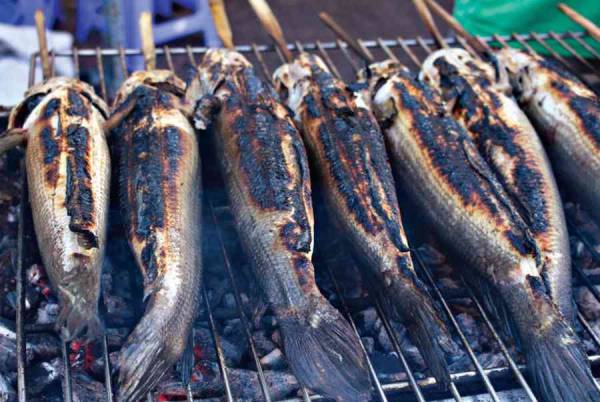 Khám phá điềm lạ khi thường xuyên ngủ mơ thấy ăn cá