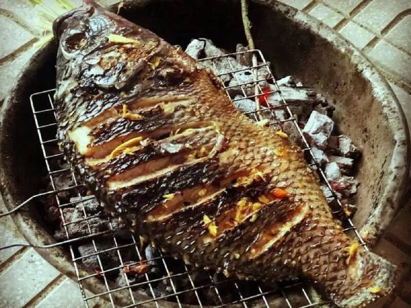 Ngủ mê thấy ăn cá cùng gia đình