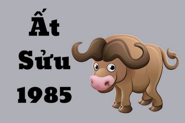 Luận giải con số may mắn tuổi Ất Sửu hôm nay có mang lại phú quý?