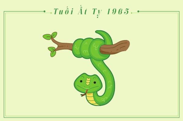 Tử vi tuổi Ất Tỵ hôm nay: Tổng quan vận trình