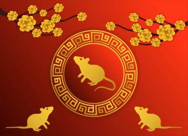 Tử vi tuổi Tý ngày 6/8/2025: Cẩn trọng nhưng có cơ hội bứt phá