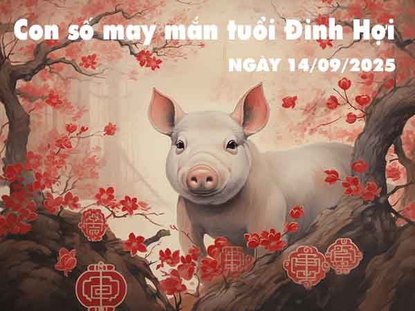 Bộ số tài lộc tuổi Đinh Hợi ngày 14/9/2025 chủ nhật hôm nay