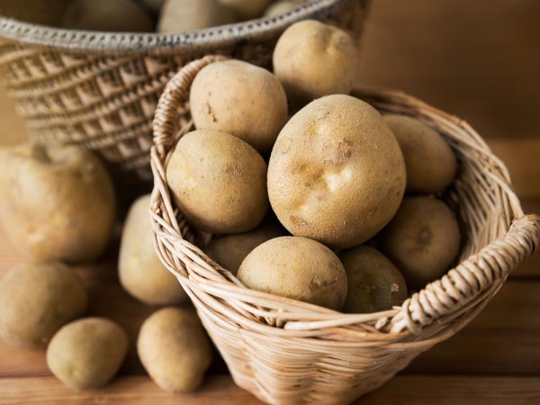 Mộng mơ thấy củ khoai tây đang mọc mầm