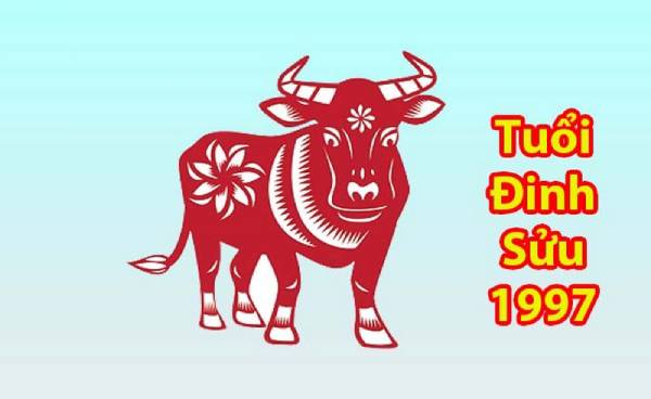 Luận giải số may mắn tuổi Đinh Sửu giúp giàu sang đúng không?