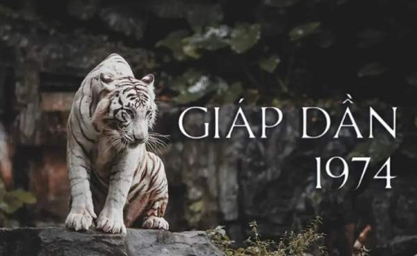 Tổng quan về vận trình tử vi tuổi Giáp Dần 20/11/2025