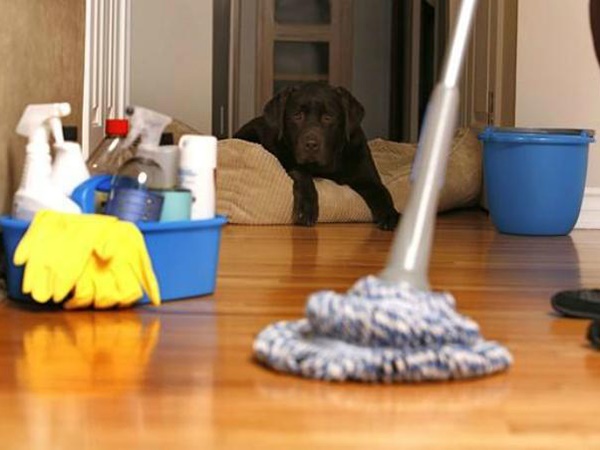Nằm mơ thấy dọn nhà ẩn chứa điềm báo đặc biệt gì?