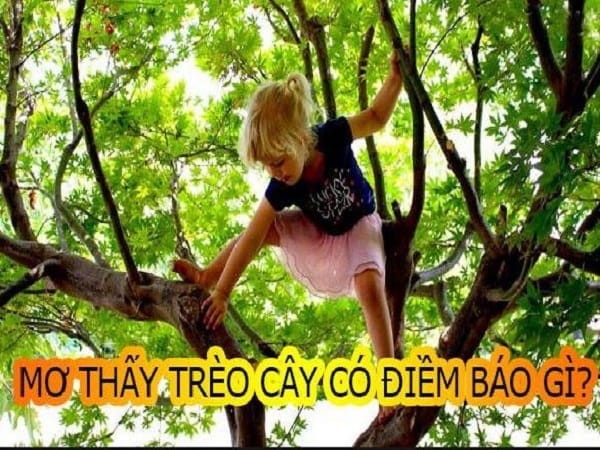 Nằm mơ thấy trèo cây hên hay xui?