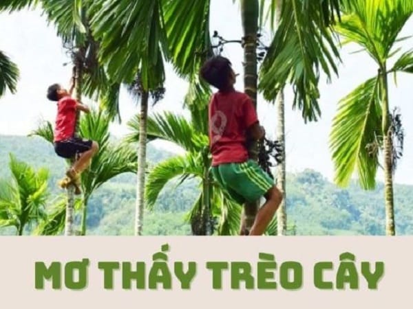 Giải mã chi tiết các giấc mơ thấy trèo cây